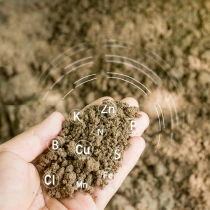 Birm-Filter-Media-Exporter-In-India