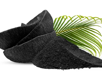 Coconut Shell Activated Carbon